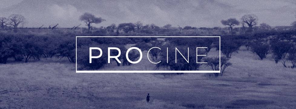 procine_fondo1